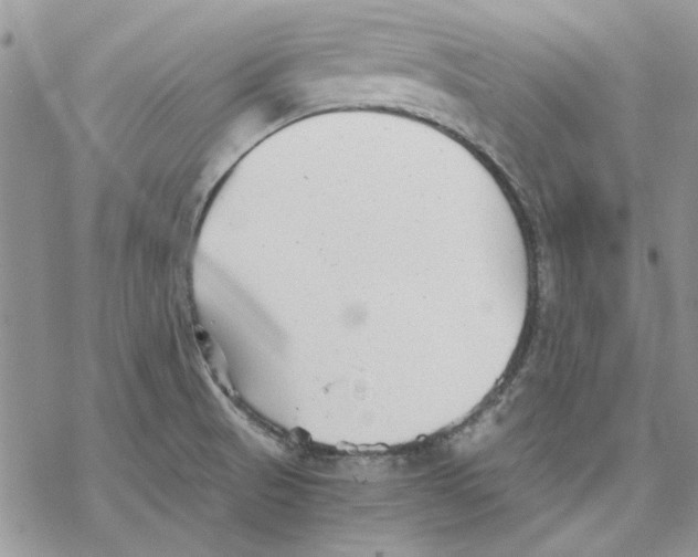 X0000069831521200606091433