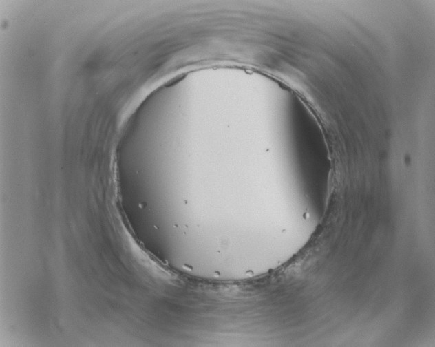 X0000069831524200606091433