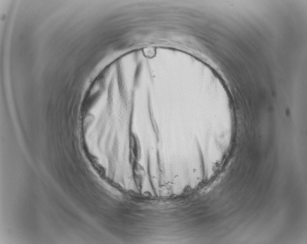 X0000069831525200606091433