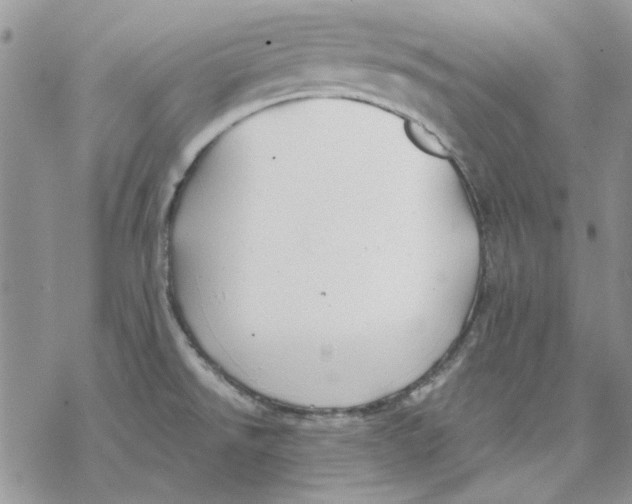 X0000069831526200606091433