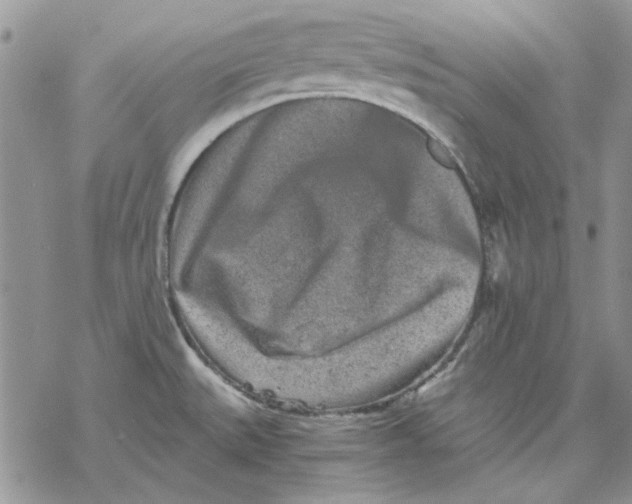 X0000069831527200606091433