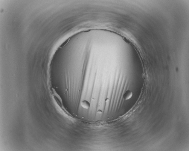 X0000069831528200606091433