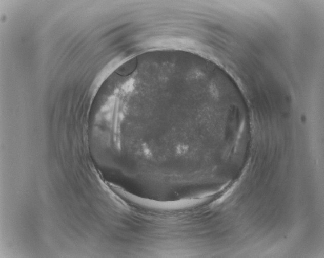 X0000069831529200606091433