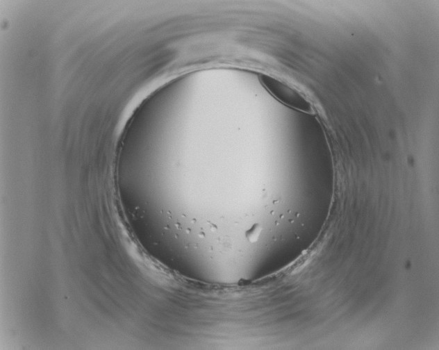 X0000069831530200606091433