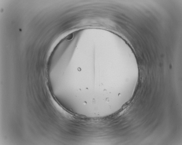 X0000069831531200606091433