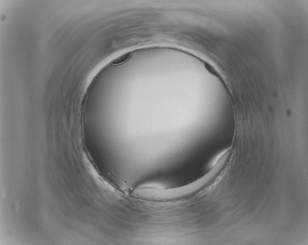 X0000069831534200606091433