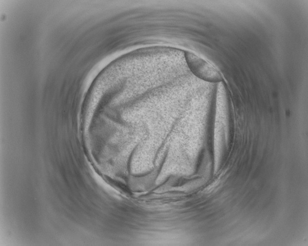 X0000069831535200606091433