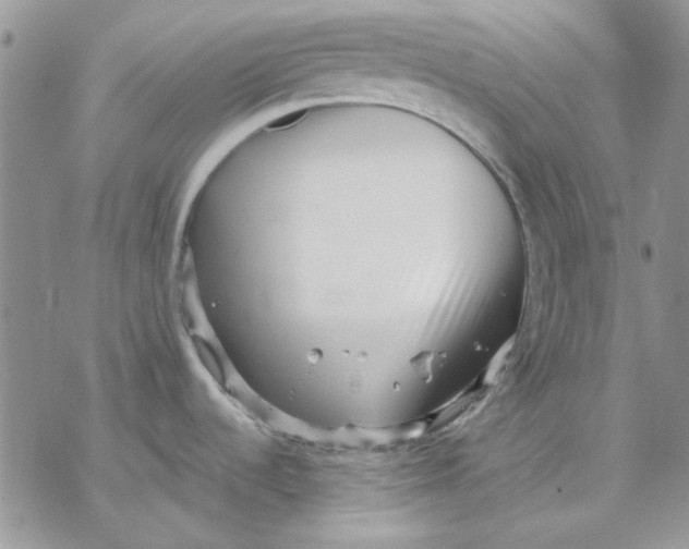 X0000069831536200606091433