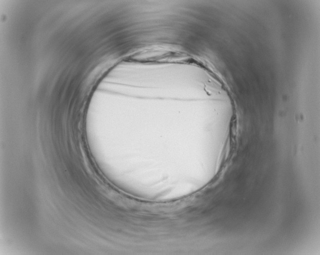 X0000069830001200606161952