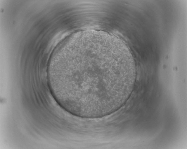 X0000069830002200606161952