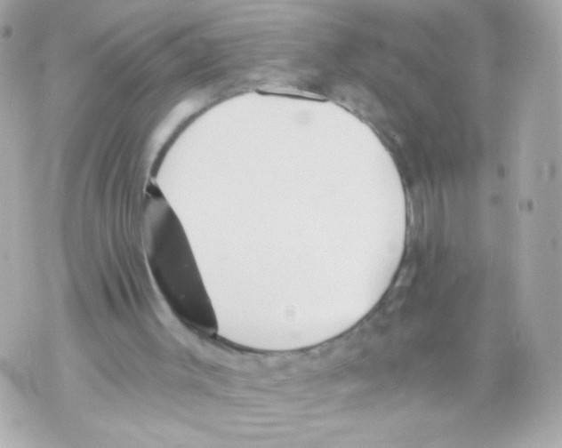 X0000069830003200606161952