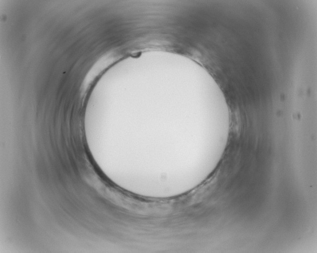 X0000069830004200606161952