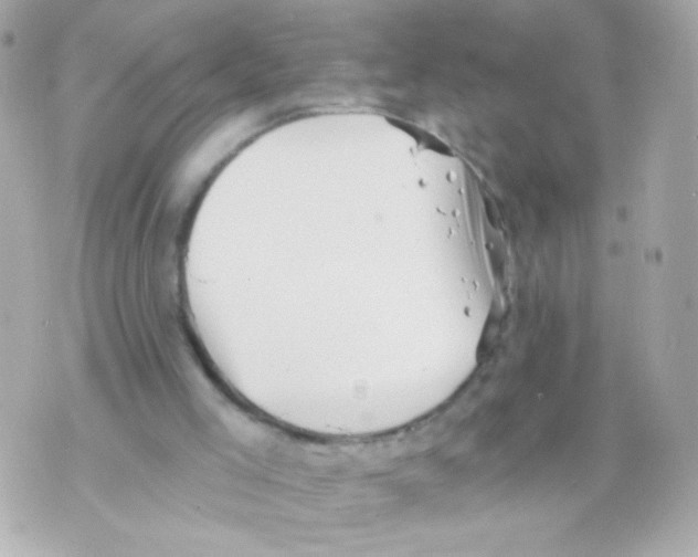 X0000069830005200606161952