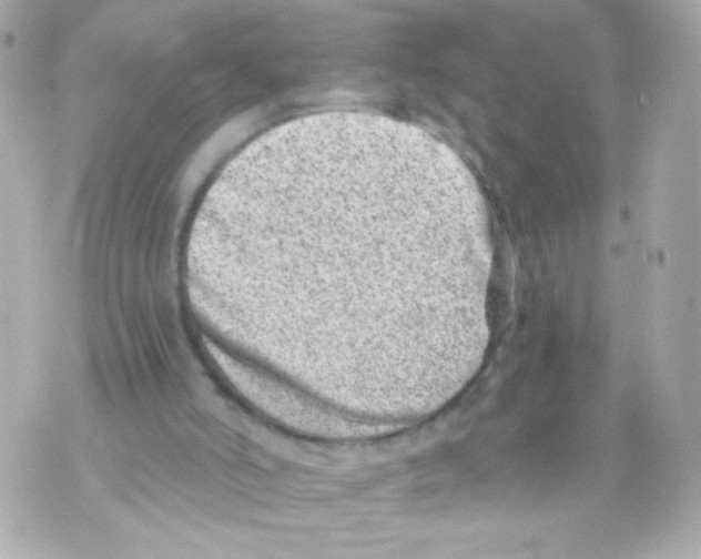 X0000069830006200606161952