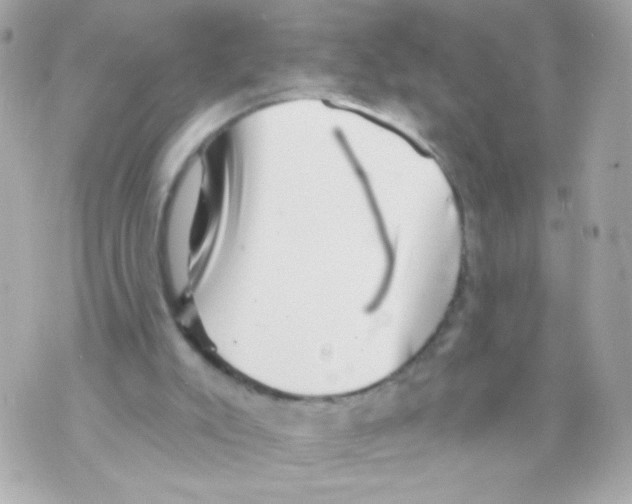 X0000069830007200606161952