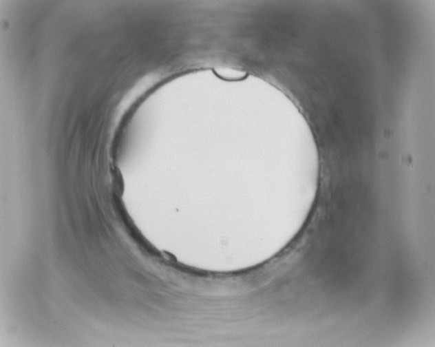 X0000069830008200606161952