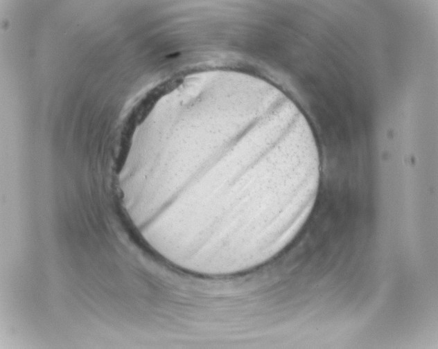 X0000069830010200606161952