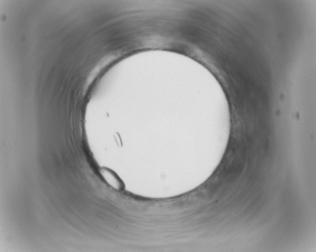 X0000069830011200606161952