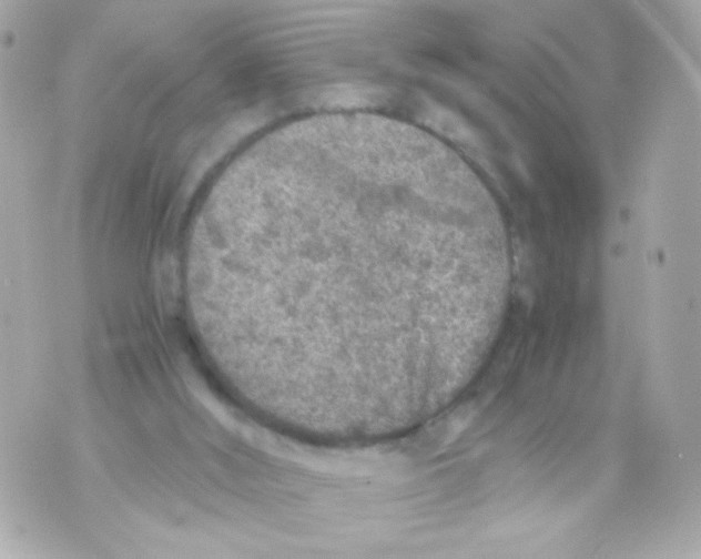 X0000069830012200606161952