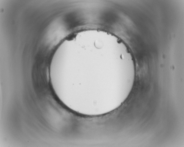 X0000069830013200606161952