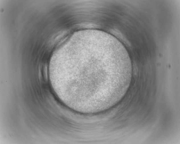 X0000069830014200606161952