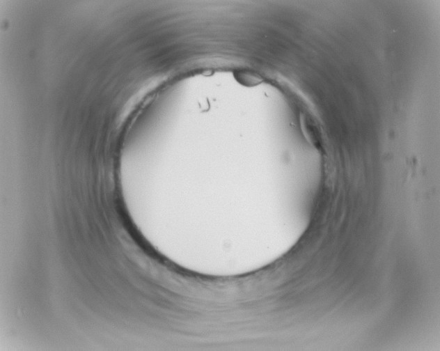 X0000069830015200606161952