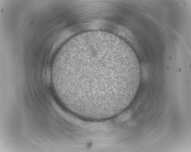 X0000069830016200606161952