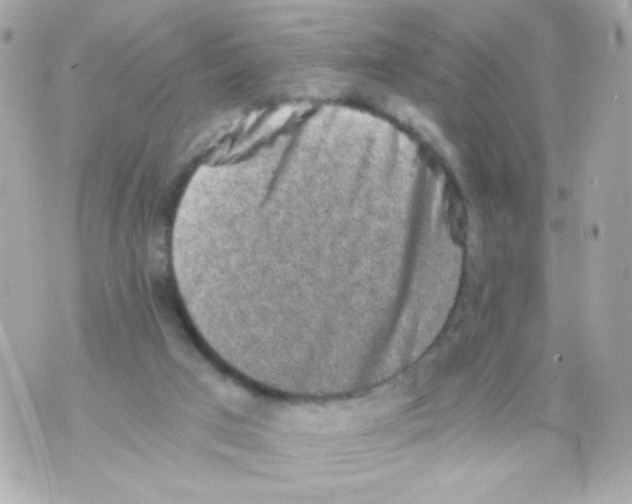 X0000069830017200606161952