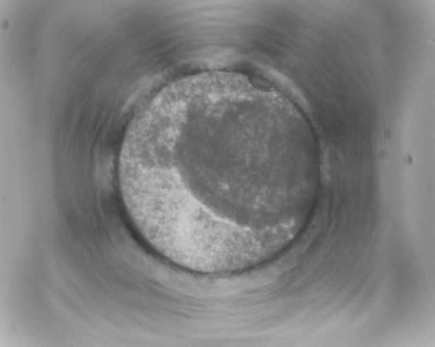 X0000069830018200606161952