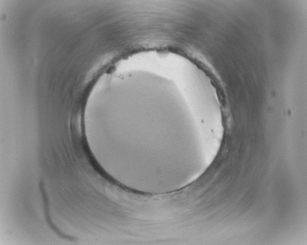 X0000069830019200606161952