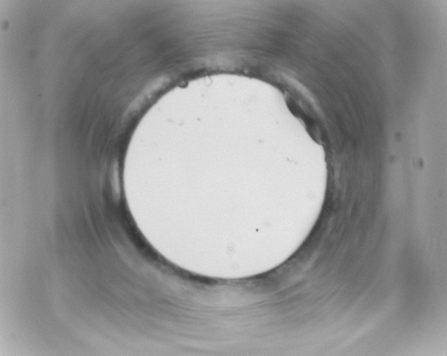 X0000069830020200606161952