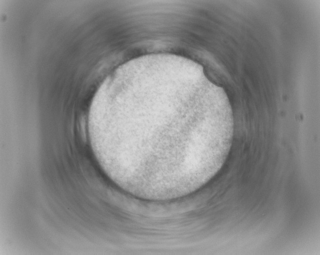 X0000069830022200606161952