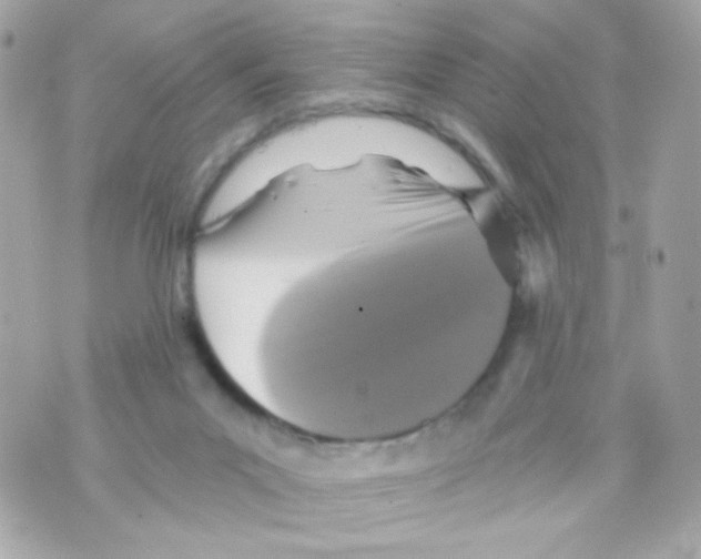 X0000069830023200606161952