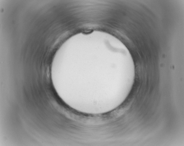 X0000069830024200606161951