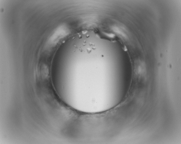 X0000069830025200606161951