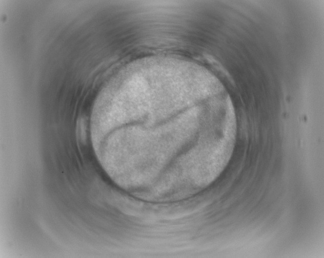 X0000069830026200606161951