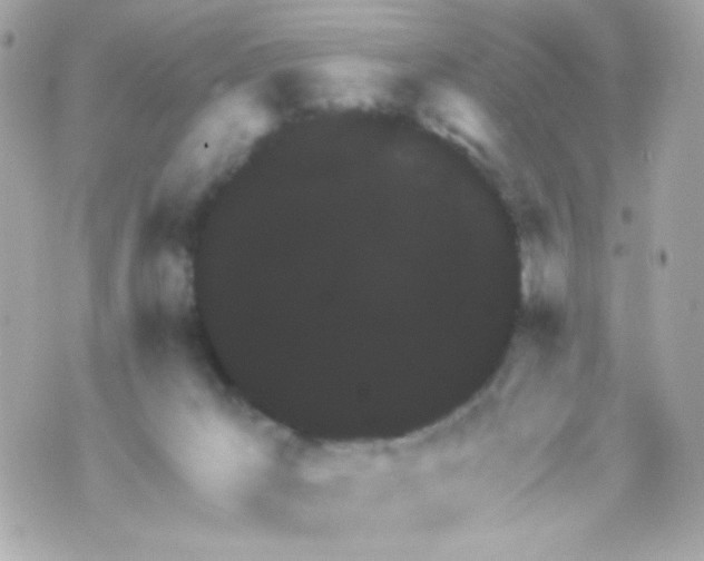 X0000069830029200606161951