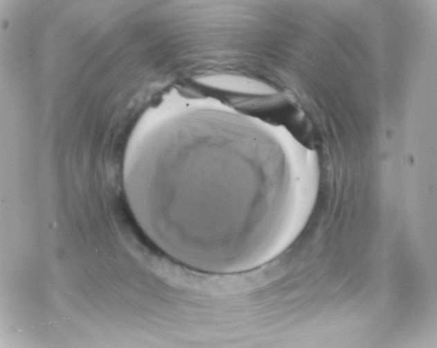 X0000069830031200606161951