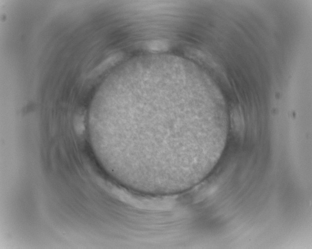 X0000069830032200606161951