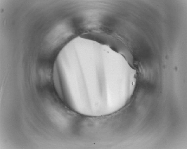 X0000069830033200606161951