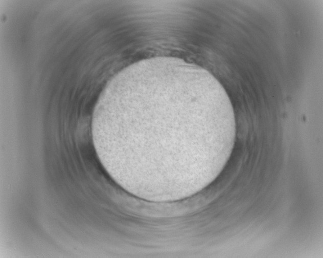 X0000069830034200606161951