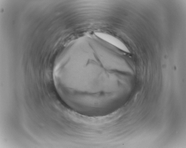 X0000069830035200606161951