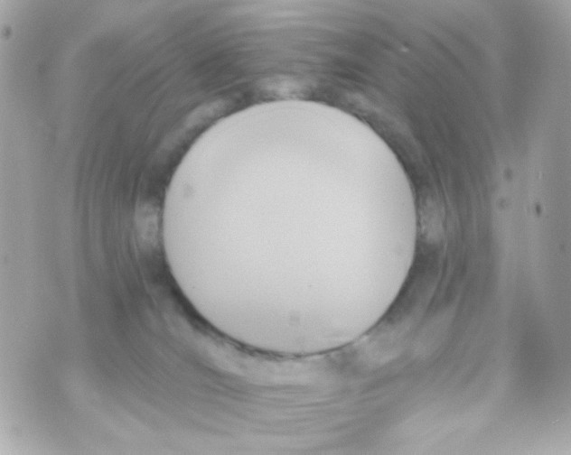 X0000069830036200606161951