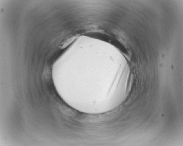 X0000069830037200606161951