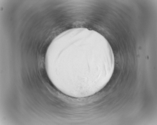 X0000069830038200606161951