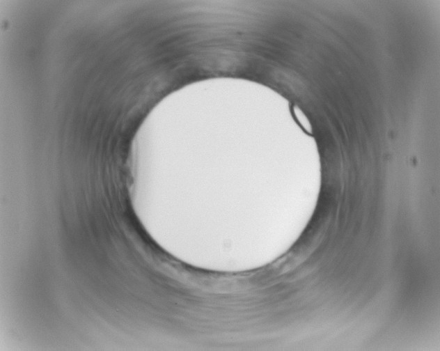 X0000069830040200606161951