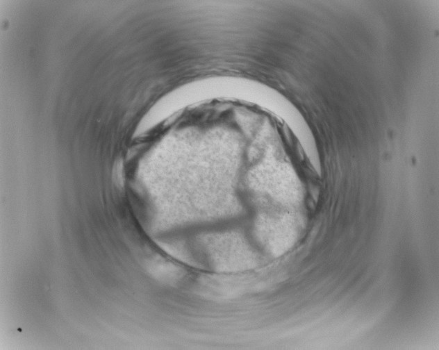 X0000069830041200606161951