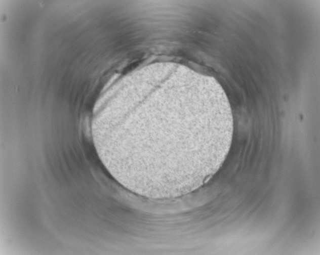 X0000069830042200606161951