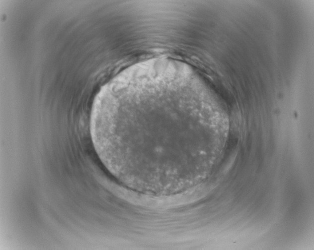 X0000069830043200606161951