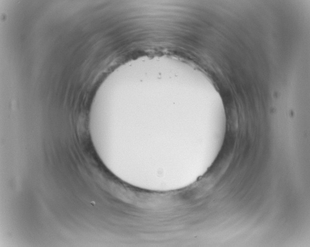 X0000069830044200606161951